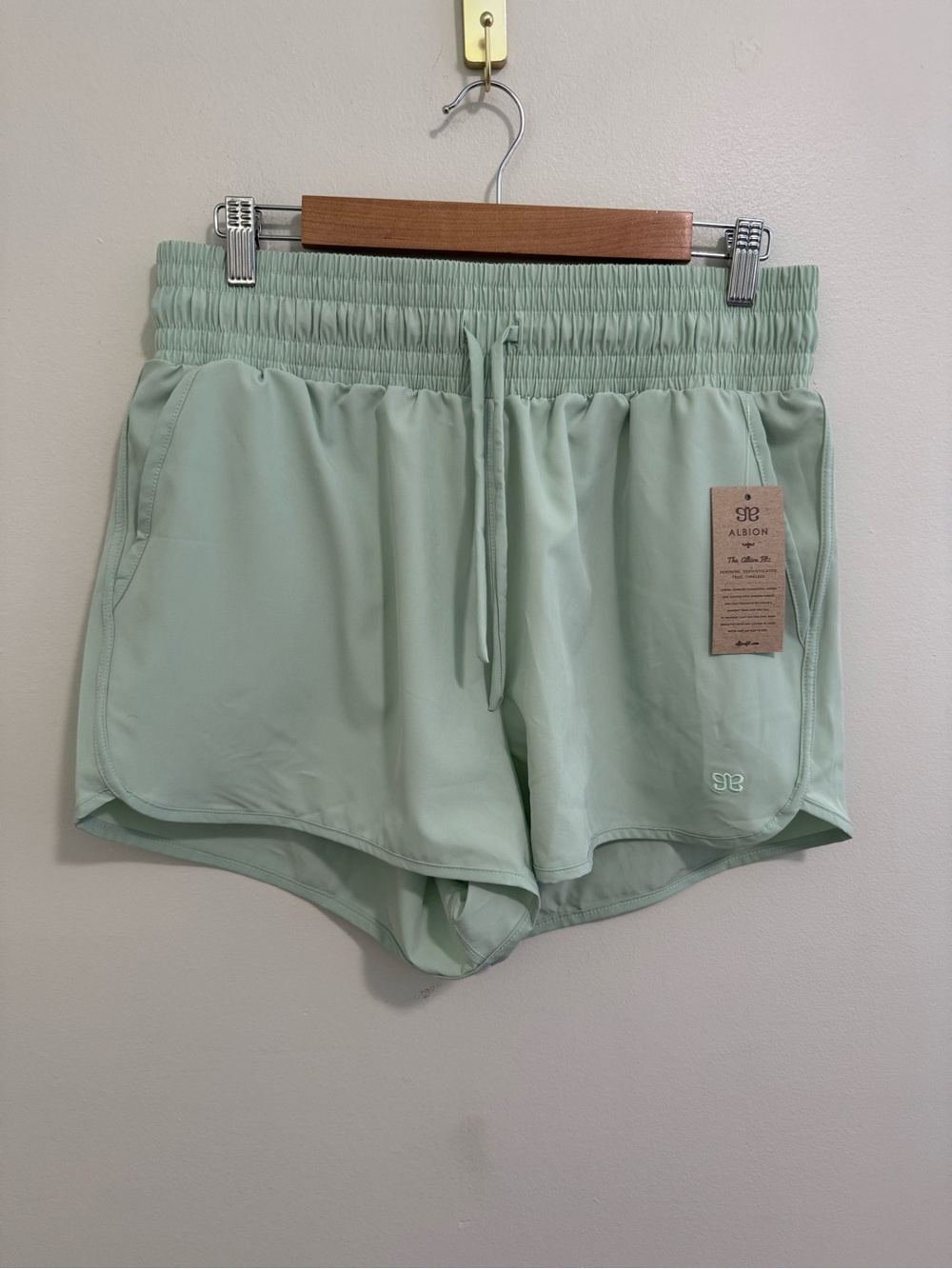 Albion NWT Sprinter Shorts 2.0 in Mint